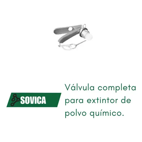 Válvula Completa Para Extintor De Polvo Químico